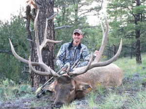 Corey's 2008 AZ Bull