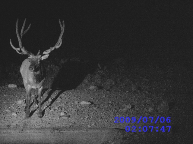 Preseason Elk Scouting Elk101 Eat Sleep Hunt Elk