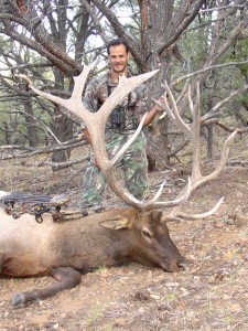 Tony's NV Bull