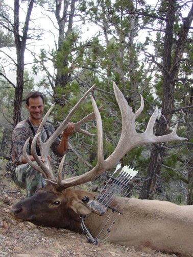 Tony's awesome Nevada bull from 2004