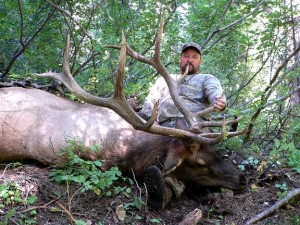 David Burdette's 2005 Idaho "alder-patch" Bull