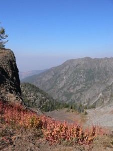 Ridgetop in Elk Country