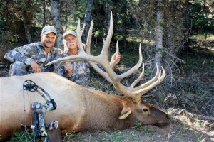 Bob Heddy's NV elk