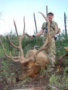 Michael Park's AZ Bull