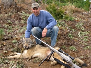 Brandon Miller's Idaho Wolf