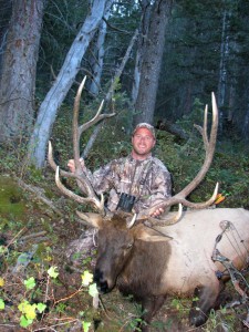 Jason Stafford's Big Wyoming Elk