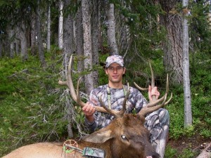 Jeremy Ell's Colorado Elk