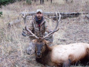 Jeremy Nesset's Idaho Elk