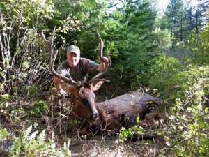 Michael Kessinger's Idaho Bull