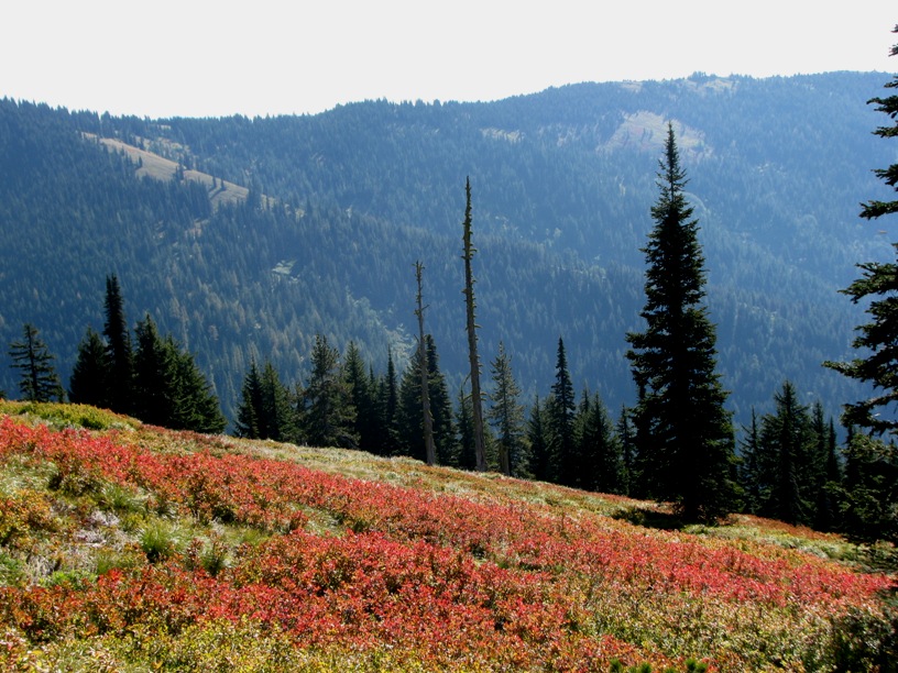 This was it...Dirk's last chance for an Idaho archery elk