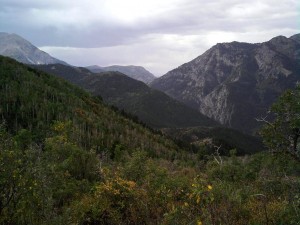 Scenery from Dusty's elk unit