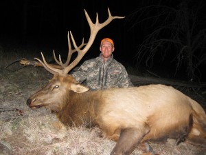 Greg's New Mexico Elk