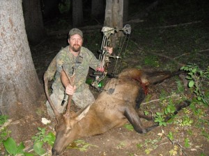 Mike Allen's Idaho Elk