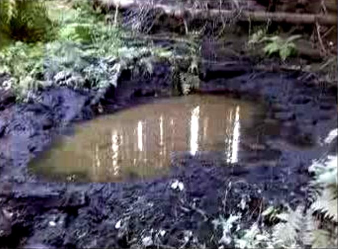 Rob located this active wallow on the hike into his hunting area