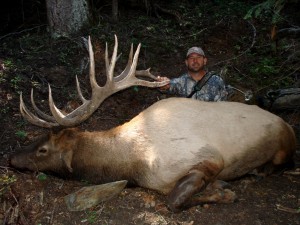 Russ Meyer's Idaho elk