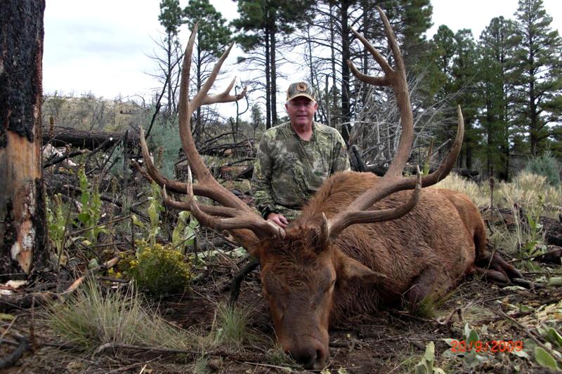 Tom Lindley's Big Arizona Elk