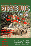 Extreme Bulls 6