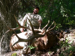 David Burdette's 2005 Idaho Bull