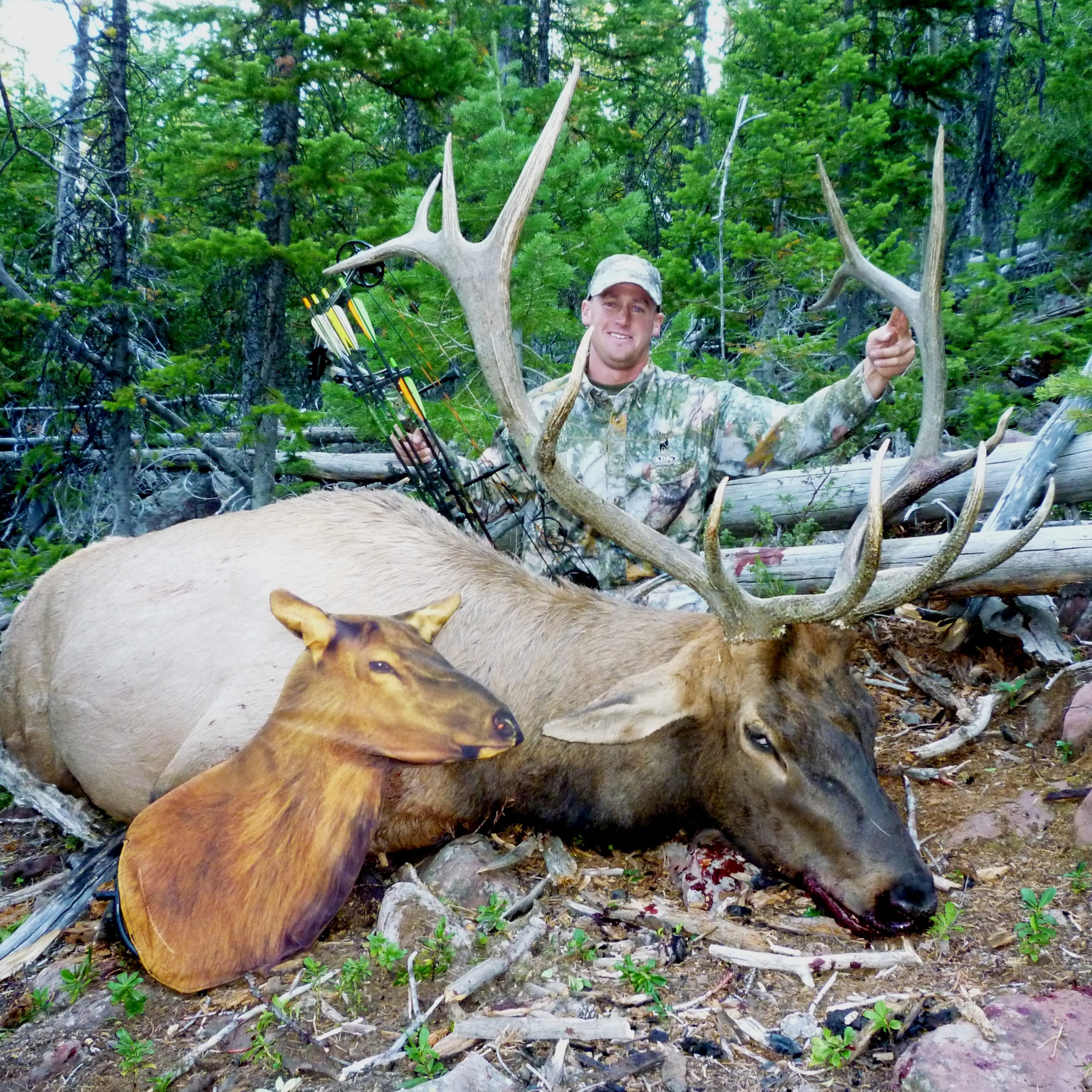 Elk Jareds Utah bull 2010 Eat. Sleep. HUNT ELK!