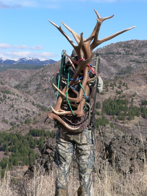 Shed hunter on sale