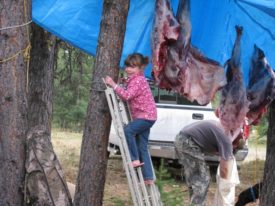 Gutting & Quartering Basics | Elk101.com | Eat. Sleep. HUNT ELK!