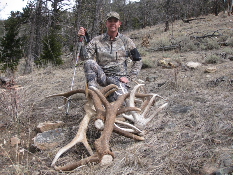 Elk shedding shop