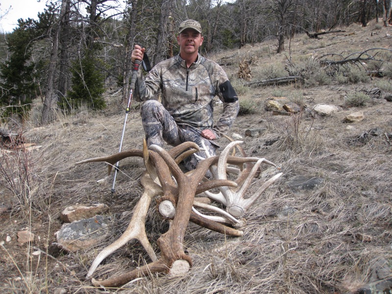 elk shed hunting trips