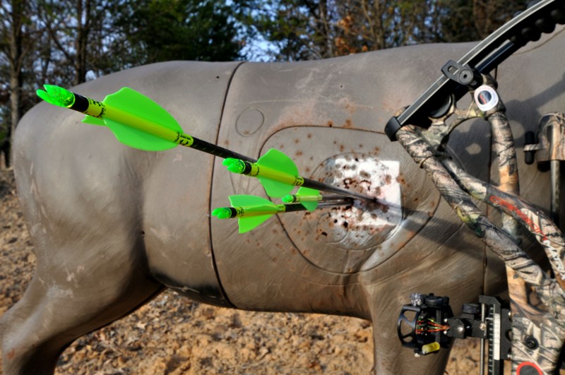 Broadhead Confidence Eat. Sleep. HUNT ELK!