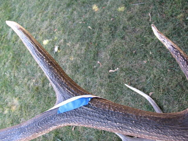 What Does Your Bull Score Elk101 Eat Sleep Hunt Elk