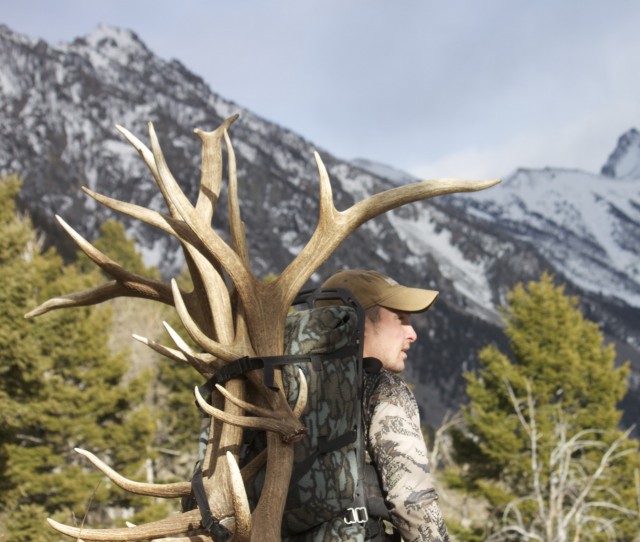 Alec Pinero - Shed hunting in Montana