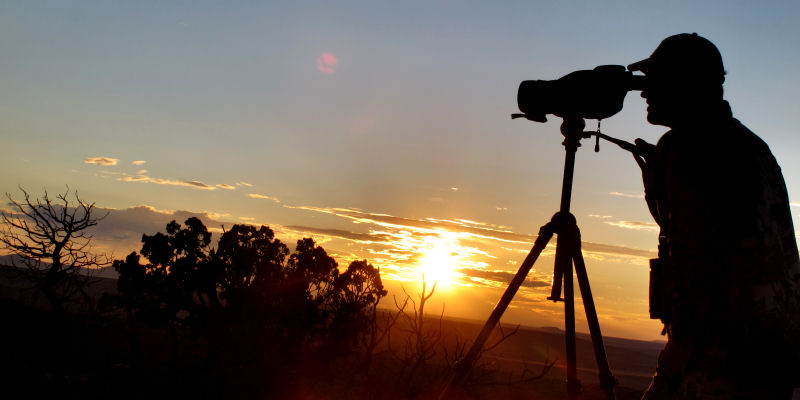 2015_1018_Public Land Rifle Elk_800x400