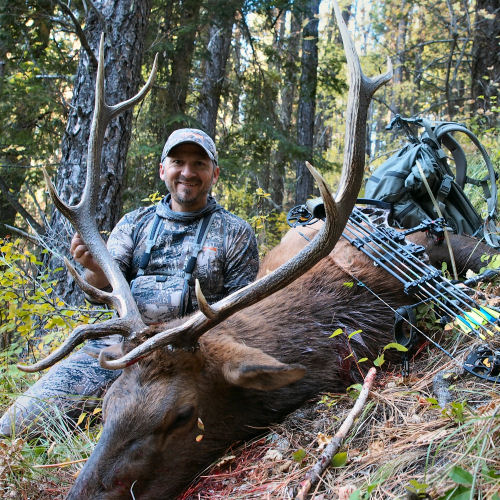 Elk101.com Pro Staff – 2015 Archery Success