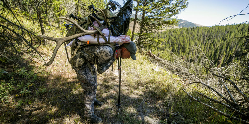 2016_0104_Packing Quarters_Mark Skousen_800x400