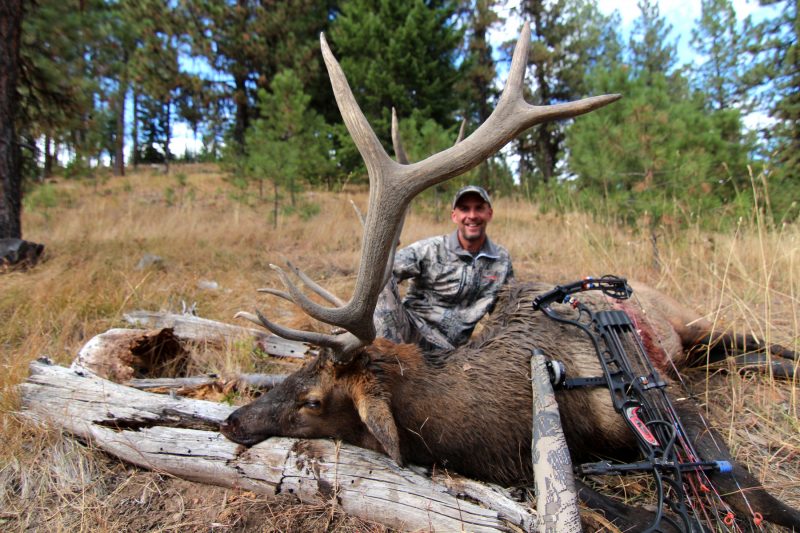 How Do I Get An Elk Tag? Eat. Sleep. HUNT ELK!