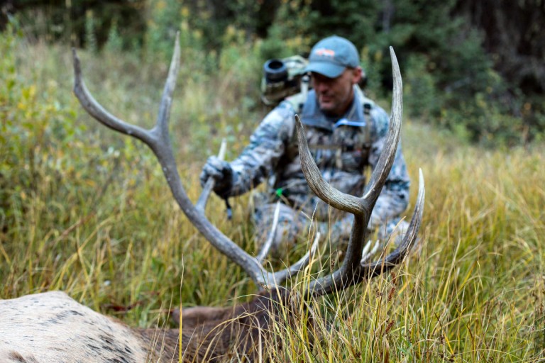 How Do I Get An Elk Tag? Eat. Sleep. HUNT ELK!