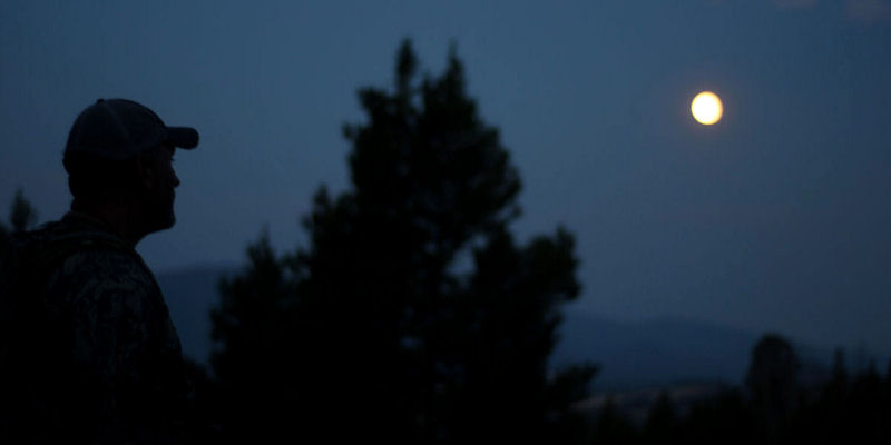 Full Moon_800x400