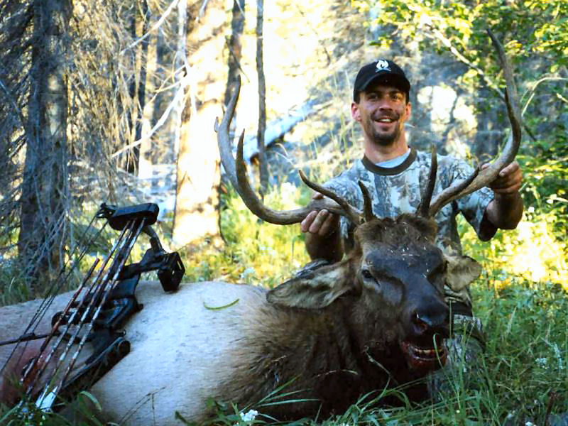 A Dose of Motivation the Path to Elk Hunting Success