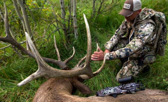 In the Heat of the Moment | Elk101.com | Eat. Sleep. HUNT ELK!