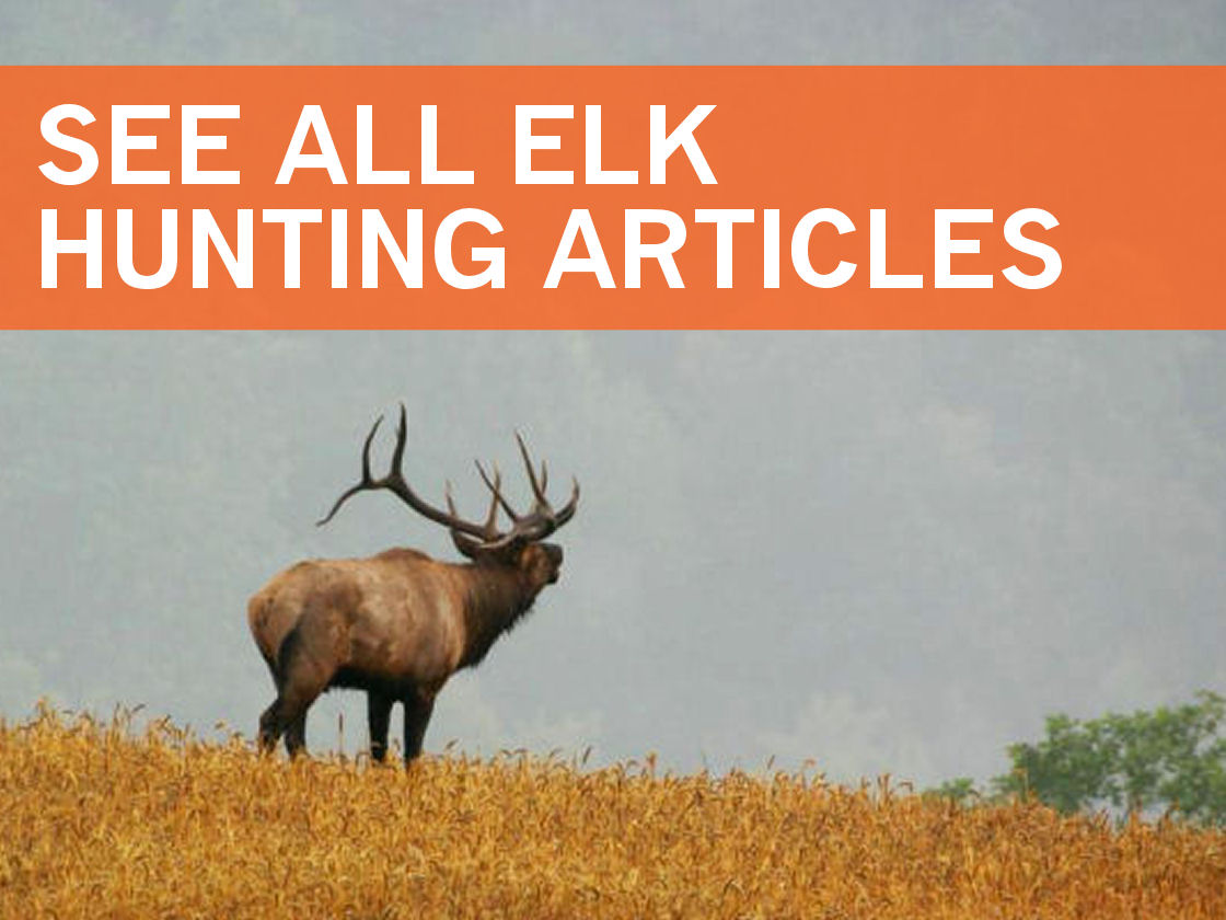 Elk101 Home_updated 2022