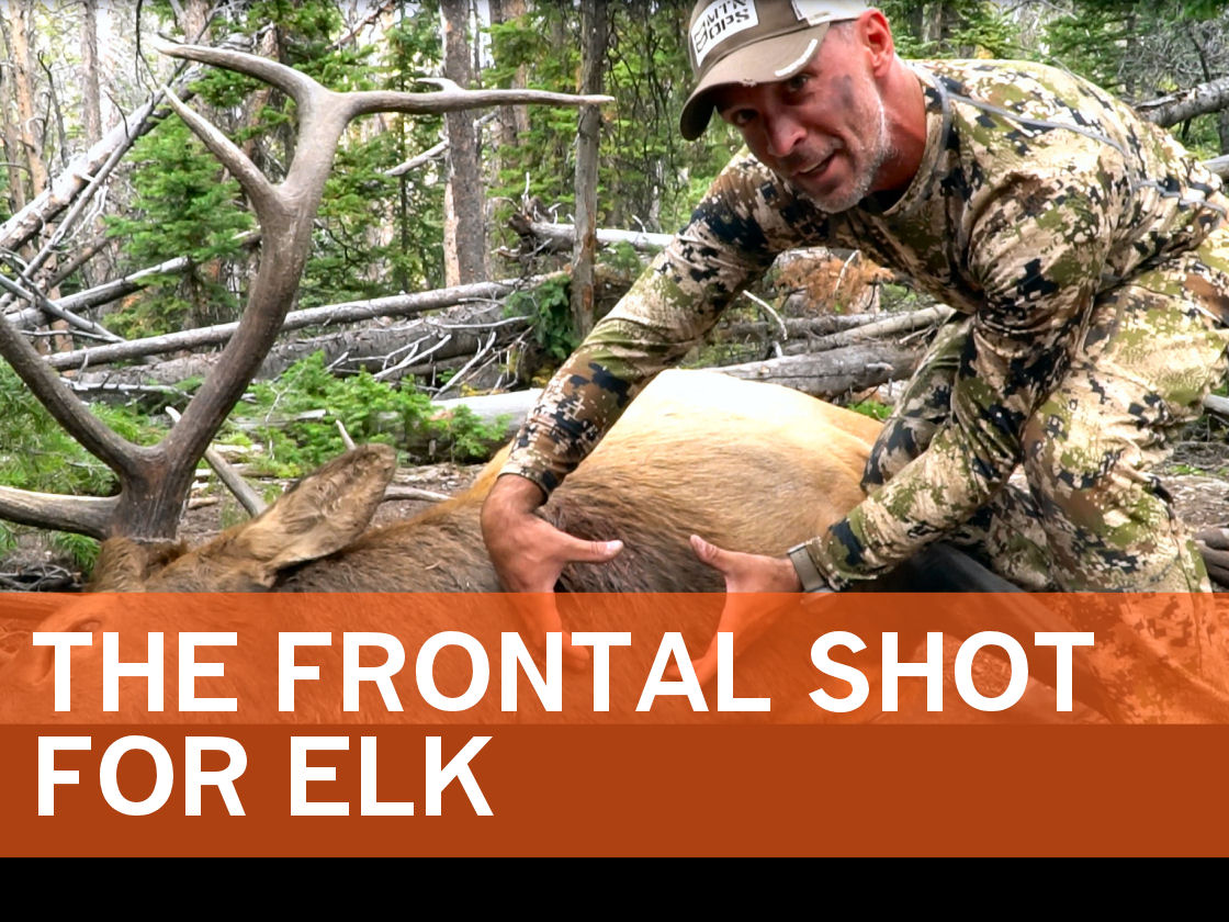 Elk101 Home_updated 2022