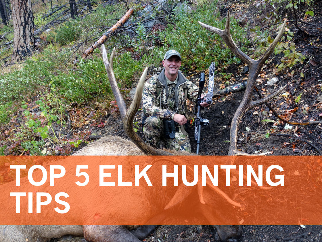 Elk101 Home_updated 2022