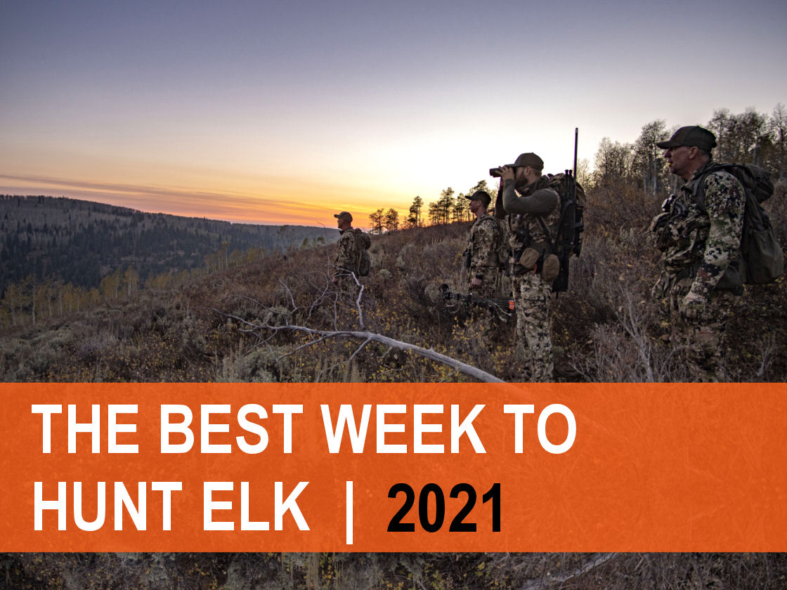 2020_Article 1_Which Week to Hunt Elk 2021