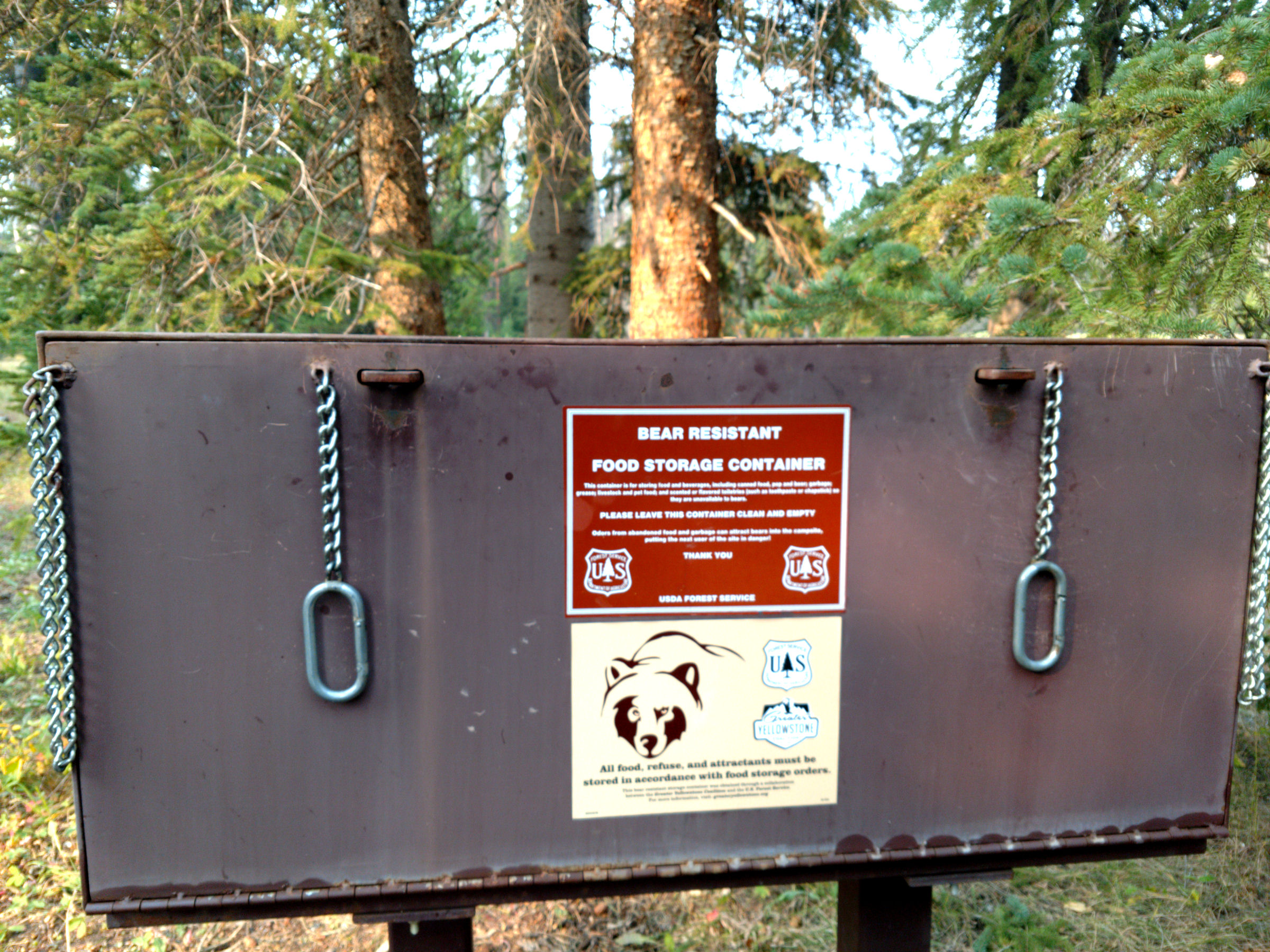 Bear Box Eat. Sleep. HUNT ELK!