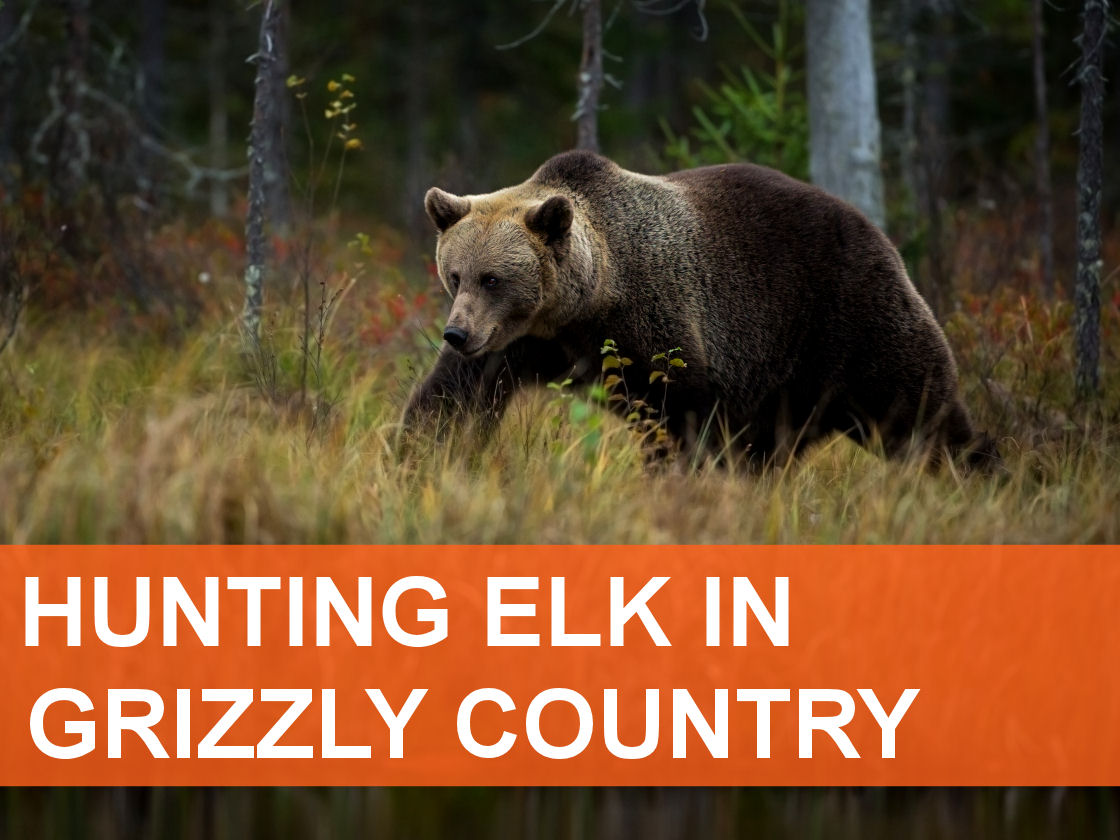 Elk101 Home_updated 2022