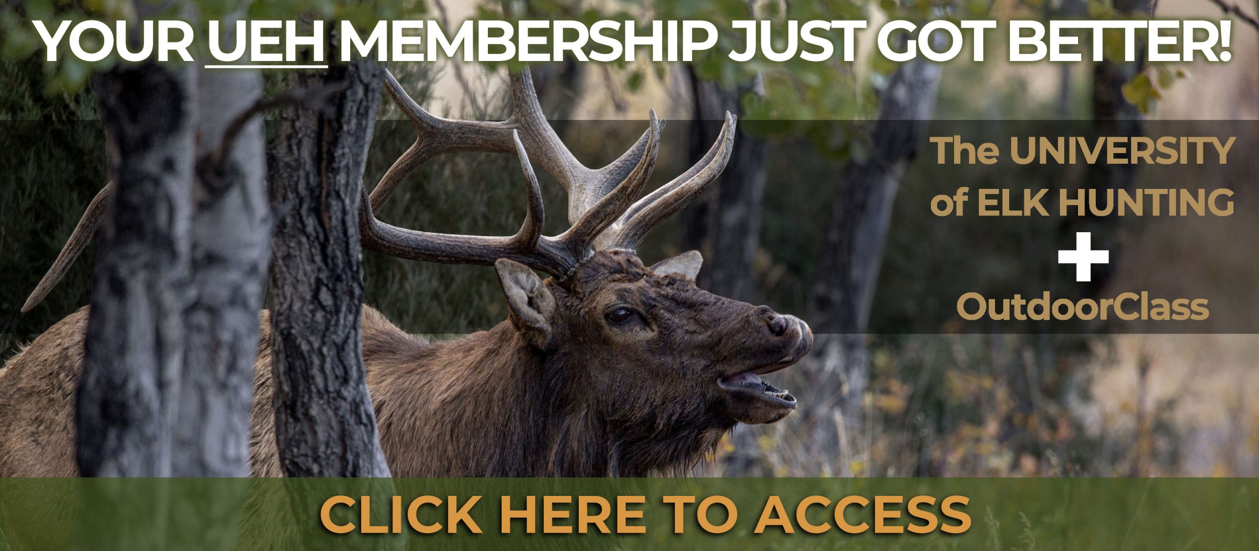 2022 Members Page