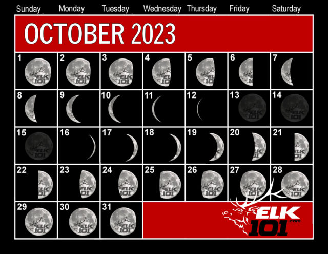 Which Week to Hunt Elk in 2023? | Elk101.com | Eat. Sleep. HUNT ELK! Which Week to Hunt Elk in 2023? | Elk101.com | Eat. Sleep. HUNT ELK!