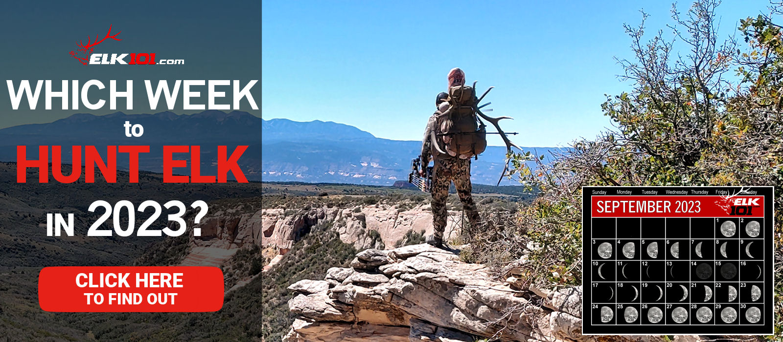 2023_0109_Which Week to Hunt Elk 2023_website_1600x700