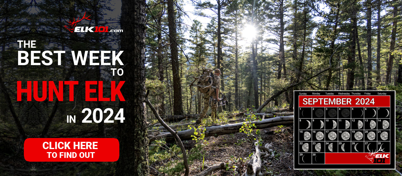 2024_0319_Which Week to Hunt Elk 2024_website